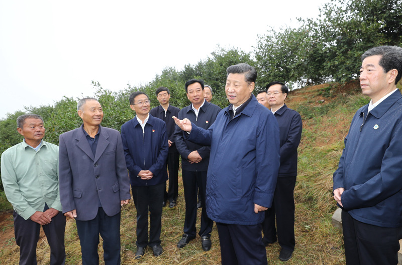 9月16日至18日,中共中央总书记、国家主席、中央军委主席习近平在河南考察。这是17日上午,习近平来到信阳市光山县槐店乡司马光油茶园,同正在劳作的村民和管理人员交流。 新华社记者 鞠鹏 摄
