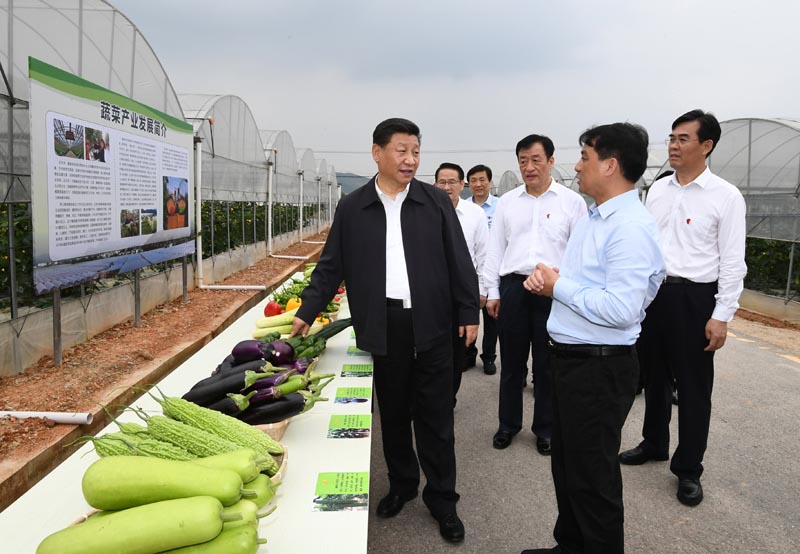 5月20日至22日,中共中央总书记、国家主席、中央军委主席习近平在江西考察,主持召开推动中部地区崛起工作座谈会并发表重要讲话。这是习近平在赣州市于都县梓山富硒蔬菜产业园考察调研。